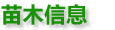 描述