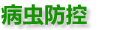 描述