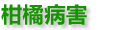 描述
