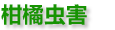 描述