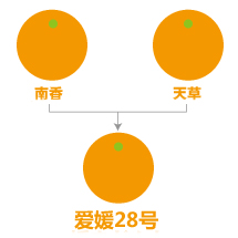 1-1