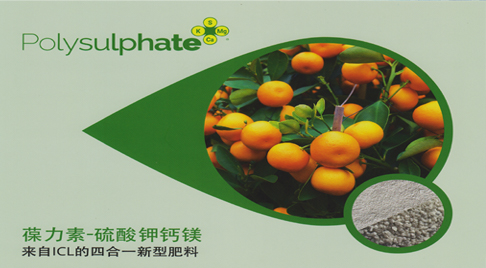葆力素-来自英国的硫酸钾钙镁肥料